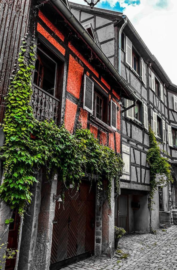 La Maison Rouge Au Coeur De La Ville. Riquewihr Dış mekan fotoğraf